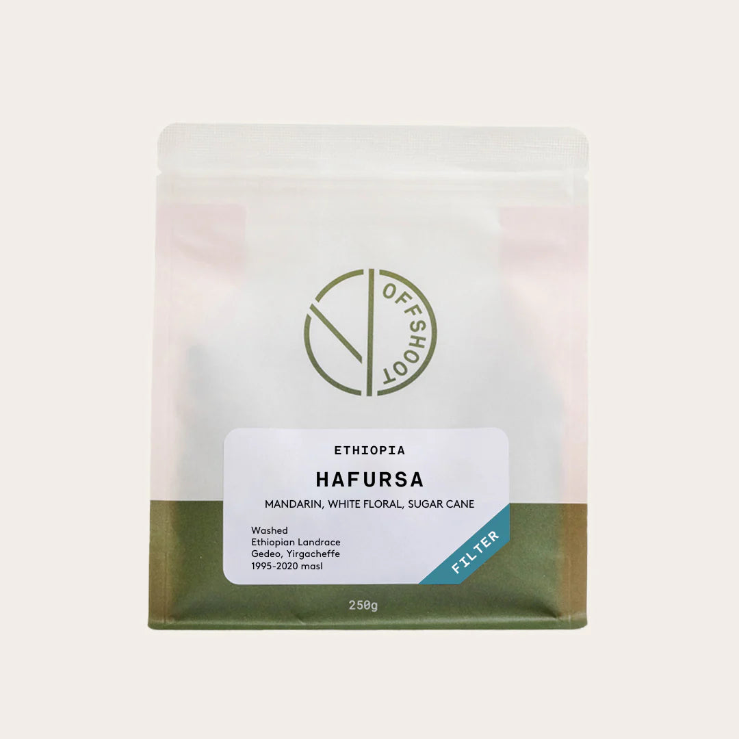 Offshoot Ethiopia Hafursa Filter