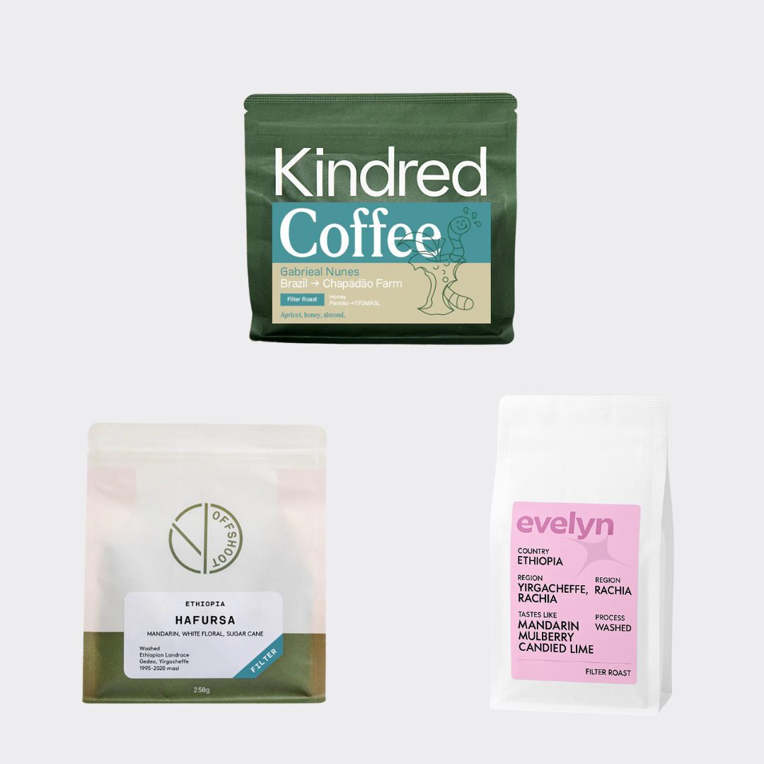 Coffee Subscription - Filter Multi-Roaster Bundle Pack