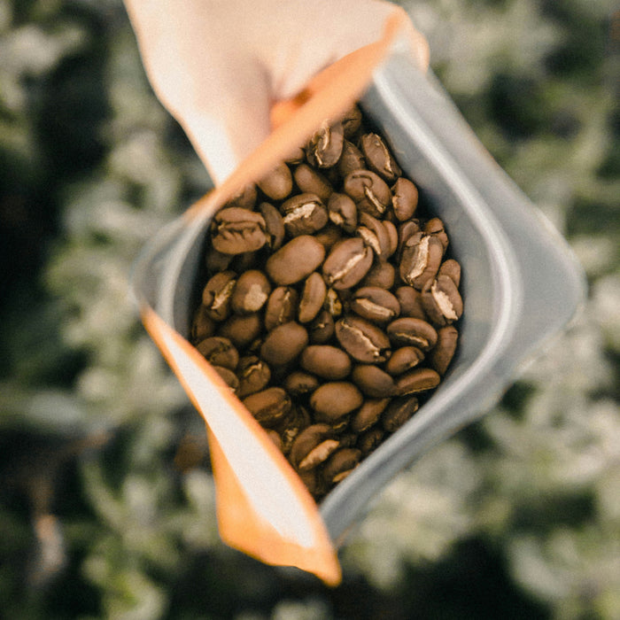 The Ultimate Guide to Finding the Best Coffee Beans