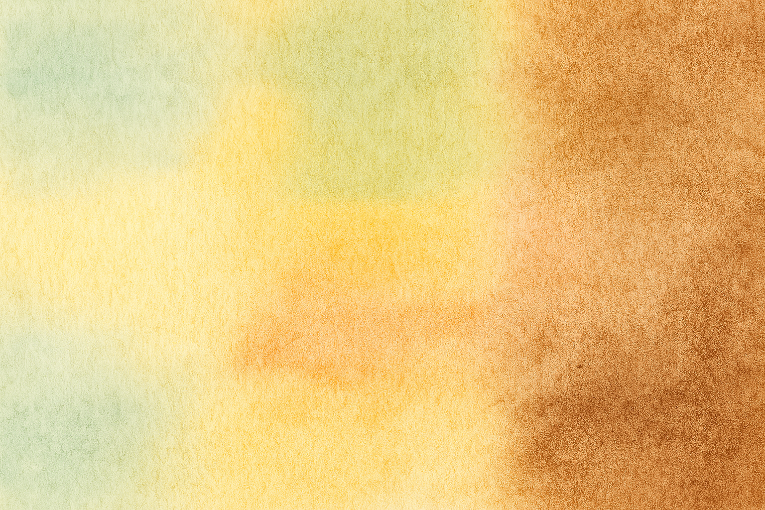 Medium Roasted Coffee